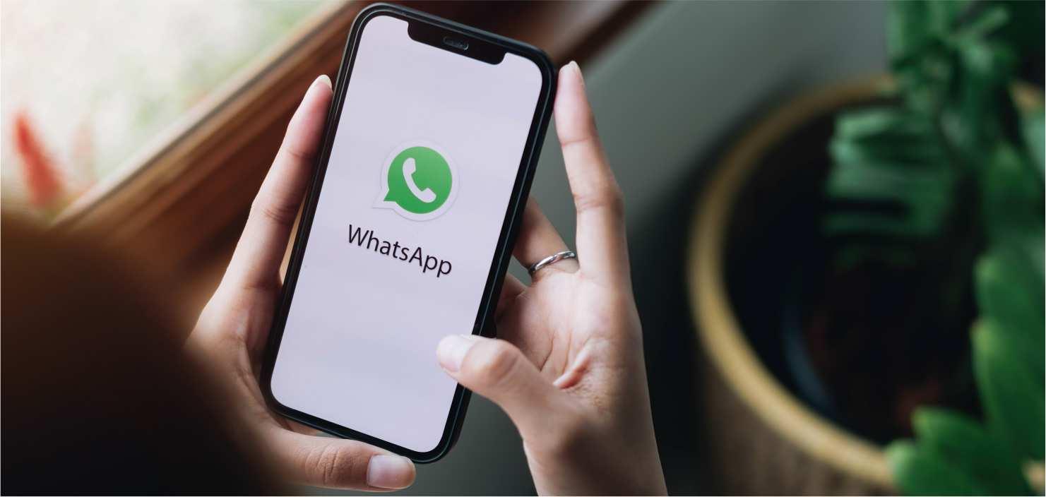 Como maximizar conversões com o WhatsApp Marketing!